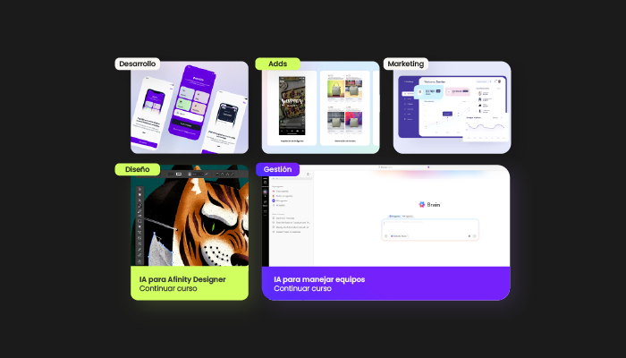 Rutas personalizadas por rol